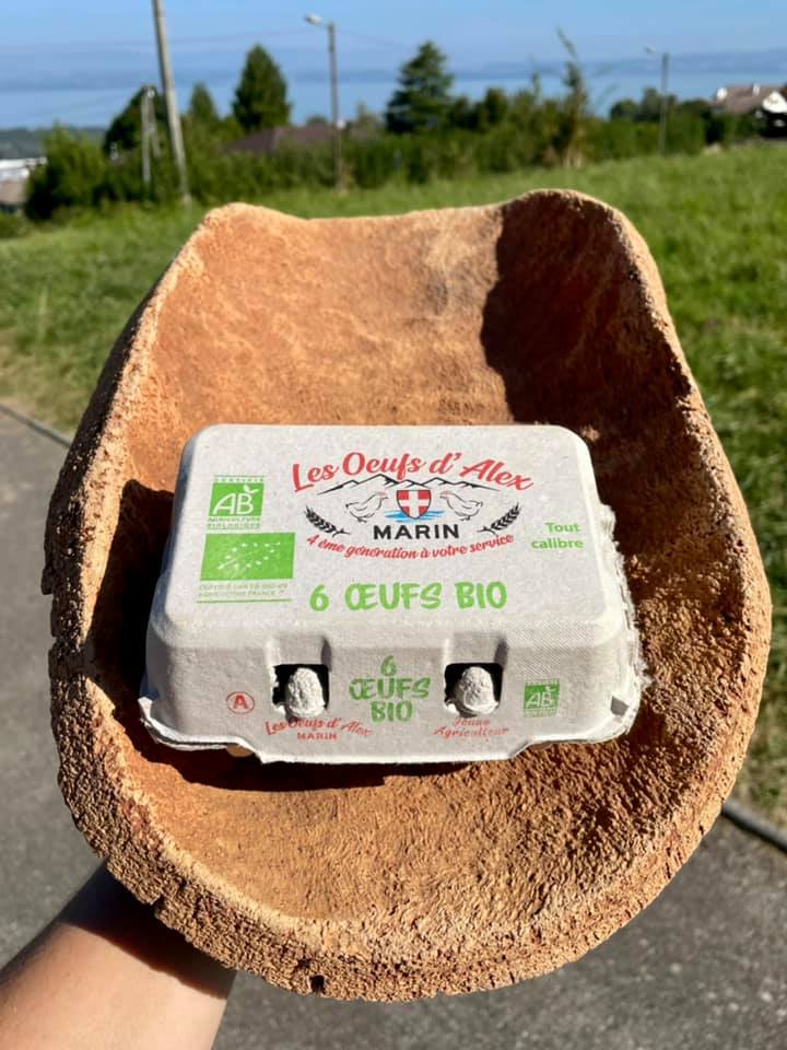 Les Œufs d'Alex Les Œufs d'Alex