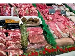688-biocoop-publier-amphion-magasin-bio-alimentation-agneau-viande-boucherie-veau.webp