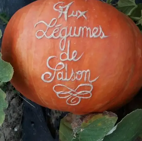Aux légumes de saisons