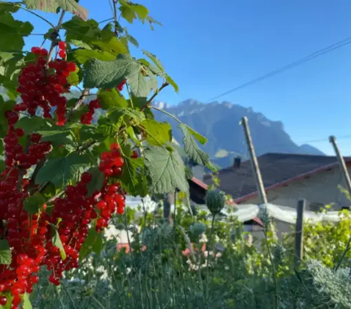 La ferme aux bois gourmands